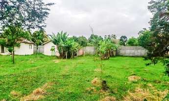 Imagem 5: Vendas Terreno Quatro Barras PR