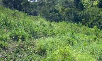 Imagem 5: Fazenda pequena 150.000 mil