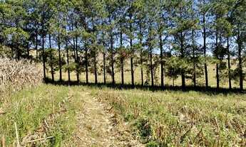 Imagem: Lote/Terreno para venda possui 500 metros