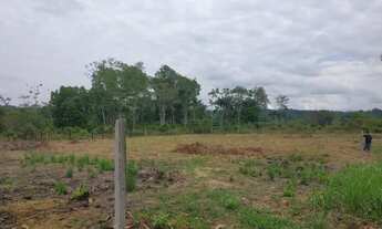 Imagem 2: Terreno no brasileirinho