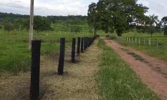 Imagem 6: Fazenda em Rio do Sono (80 km de Palmas