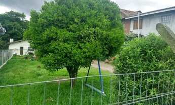 Imagem 3: Terreno - Bairro Carniel