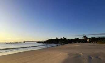 Imagem 7: Apartamento 3 quartos Gov Celso Ramos