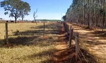 Imagem: Chácaras em guapo sendo 3 km e meio apenas