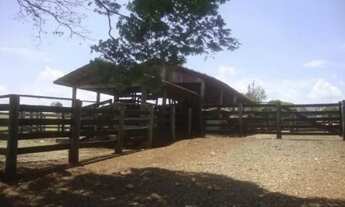 Imagem 4: Fazenda na Região de Tatui oportunidade