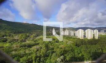 Imagem 5: Apartamento para Aluguel - Alto Petrópolis, 3 Quartos, 70 m2