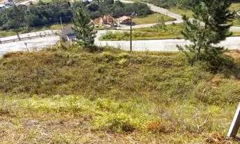 Imagem 7: Terreno em São Pedro de Alcântara