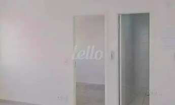 Imagem 2: São Paulo - Apartamento Padrão - Cambuci