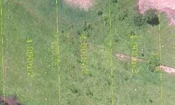 Imagem 7: Vende-se Chácara de 4.000m² em Petrolina de goiás