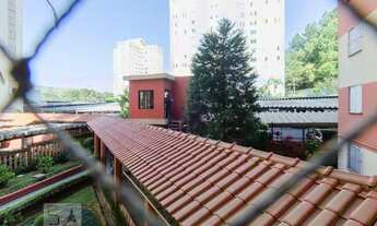 Imagem 3: Apartamento para Aluguel - Nova Petrópolis, 2 Quartos, 56 m2