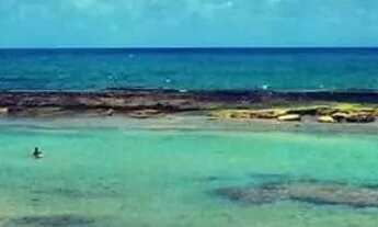 Imagem 7: Seu descanso em jauá