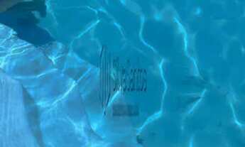 Imagem 3: Casa na zona nova para Temporada - VALOR POR DIA Ref.:16705141