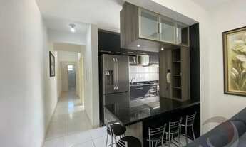 Imagem 4: PALHOçA - Padrão - Pagani