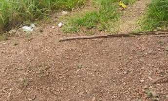 Imagem 5: Oportunidade 200 MTS próximo a mansão imperial r$ 159 mil