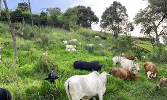 Imagem 5: Fazenda em Nova Laranjeiras Parana