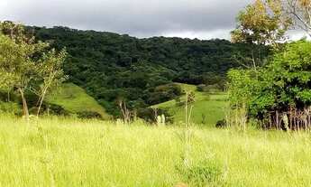 Imagem 2: Lote para chácara 1000 metros