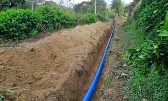 Imagem 3: Vendo excelente Fazenda de limao