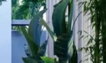 Imagem 5: CASA CONDOMÍNIO TERRAS ALPHA GOIÁS 1 Casa em Condomínio com 3 Quarto(s) e 4 banheiro(s) à