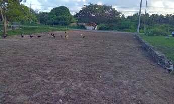 Imagem 2: TERRENO PRÓXIMO AO SUPERMERCADO PASSEO COM ESCRITURA