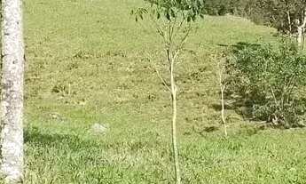 Imagem 7: Sítio para venda em Sodrelândia na Região Serrana em Trajano de Morais/RJ, 6,5 Alqueires