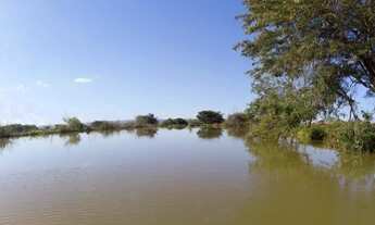 Imagem 5: Terreno Sítio Chácara Cruzeiro dos Peixotos Uberlândia
