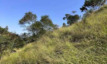 Imagem 4: Sítio com 12 ha sendo 6,5 de eucaliptos com 12 anos