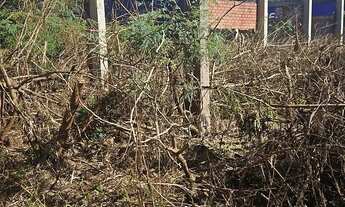 Imagem 3: Terreno BR 277 frente Coca Cola