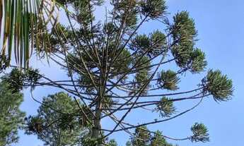 Imagem 7: 15 mil mts proximo ao centro de juquitiba 267 mil reais