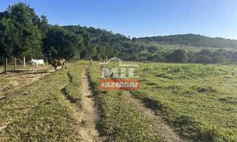 Imagem: Fazenda 33 alqueires (159,72 hectares) Edeia