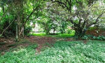 Imagem 5: Terreno à venda com 1800 m² no São Lourenço em Curitiba