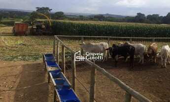 Imagem: Chácara em Silvânia-GO 3,2 Alqueires de