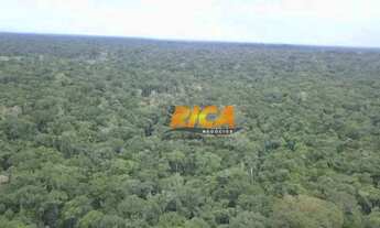 Imagem 3: Vende-se Fazenda com 10.793 hectares na zona rural de Autazes/AM