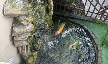 Imagem 4: Alugo quarto em apartamento completo na Zona Norte