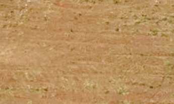 Imagem: 0 - Terreno Residencial