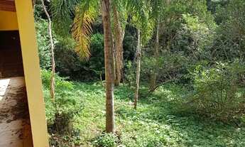 Imagem 3: Chácara com nascente em São Lourenço da Serra