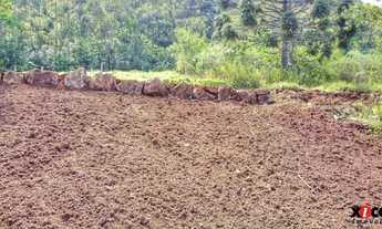 Imagem 4: Sítio / Chácara para Venda em Nova Petrópolis, Linha Brasil Fundos