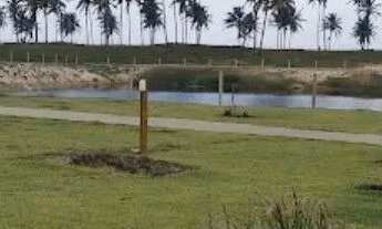 Imagem 4: Lote Residence Mares Maluí/ Barra dos Coqueiros