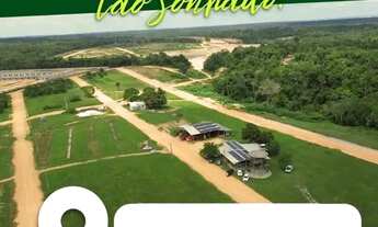 Imagem 5: Residêncial Pássaros da Amazônia