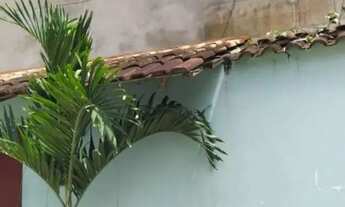 Imagem: Alugo Casa na Palhada