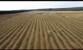 Imagem 6: Fazenda a venda em Nova Mutum - MT