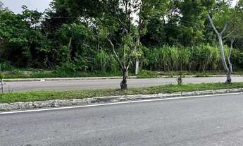 Imagem 2: TERRENO PARA FINS COMERCIAL OPORTUNIDADE NO TARUMA ACEITA PARCELAR