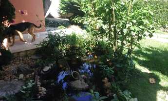 Imagem 6: Casa à venda, 5 quartos, 2 suítes, 10 vagas, Bandeirantes - Belo Horizonte/MG