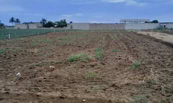 Imagem 4: Lotes em Marataízes - 2,5 km da Lagoa do Siri