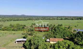 Imagem 7: Fazenda 75 alqueires (363 hectares) Mozarlândia - Go