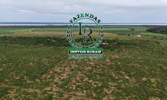 Imagem 2: Chácara de 2.500M² Próximo a Palmas Região do Prata