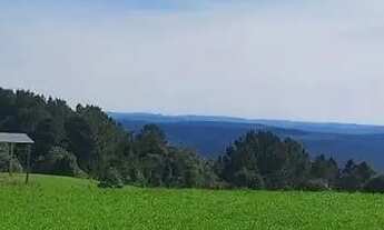 Imagem 5: Lapa, 50 alqueires, à 28 km da cidade, 121 hectares, plantando 17 alqueires, CAR, mapa top