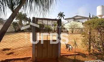 Imagem 4: Lote no Setor Jaó