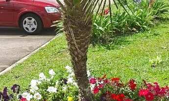 Imagem 4: Apartamento em Araucaria de 2 quartos , Ótima Localidade