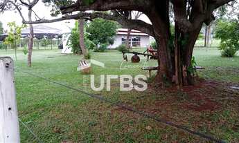 Imagem 4: Chácara em Inhumas beira da rodovia GO 070