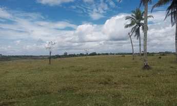 Imagem 6: 380 ta. Br 101/ Lage -Ba